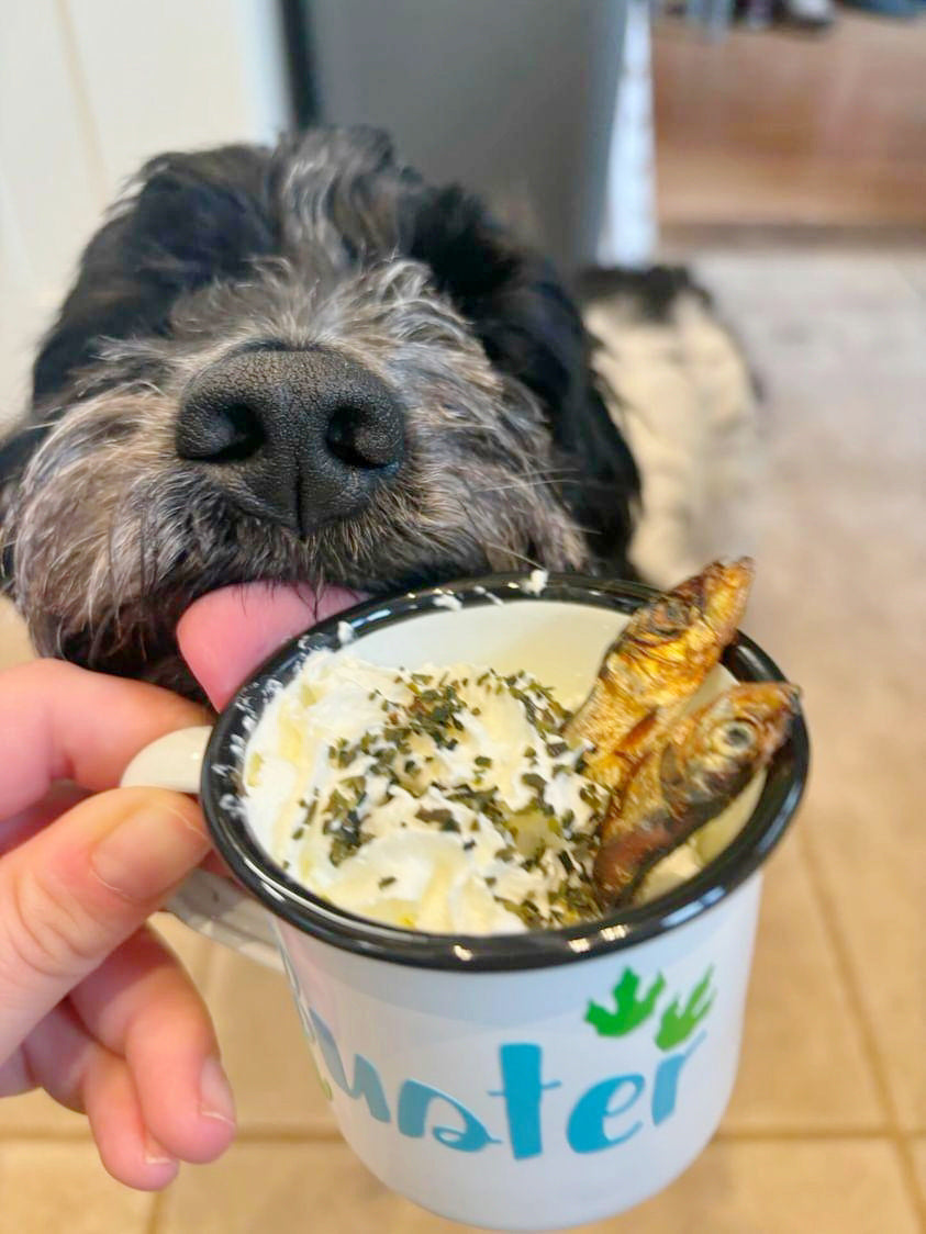 Personalised Pup Cups