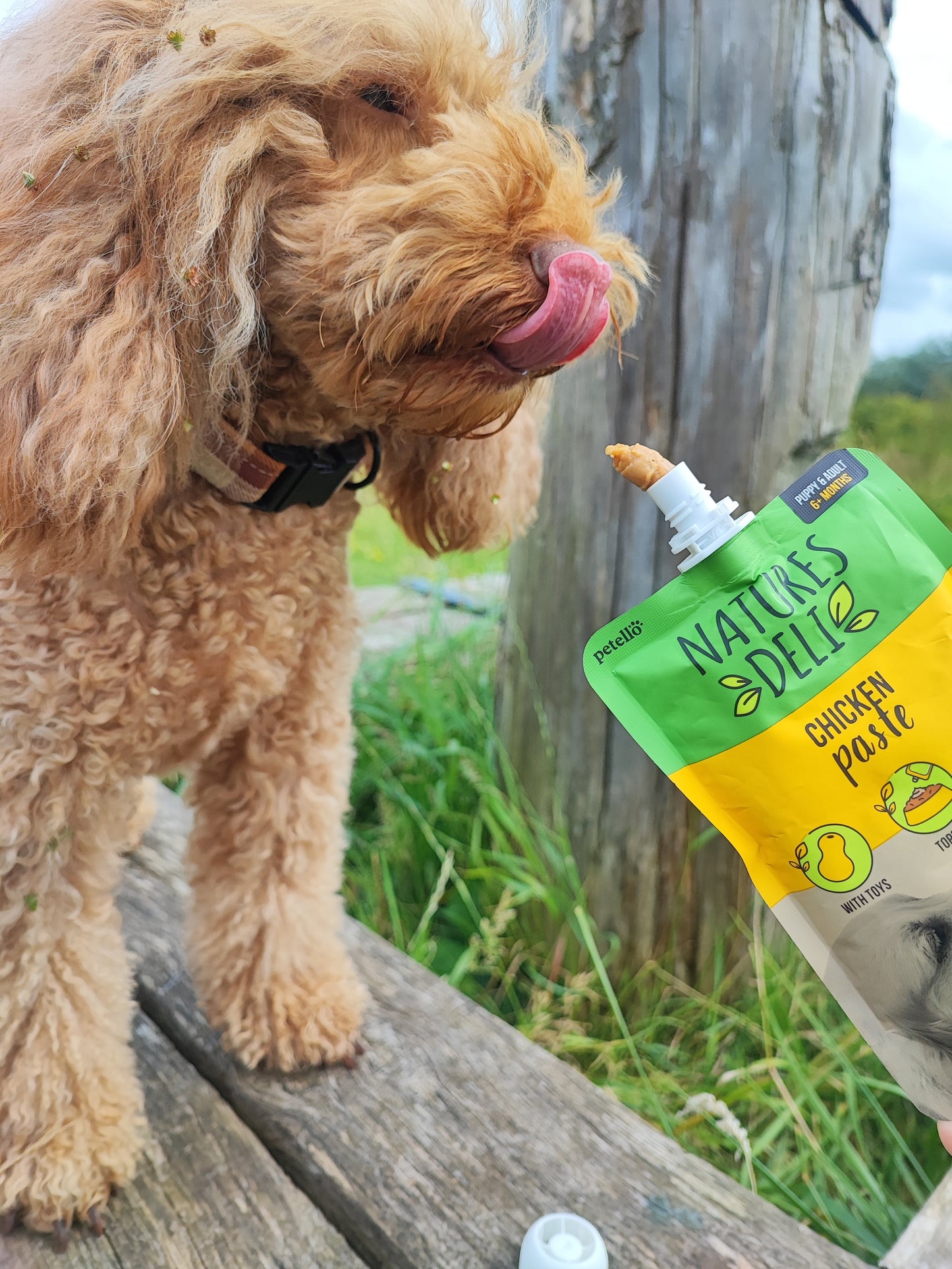 Natures Deli Chicken Paste