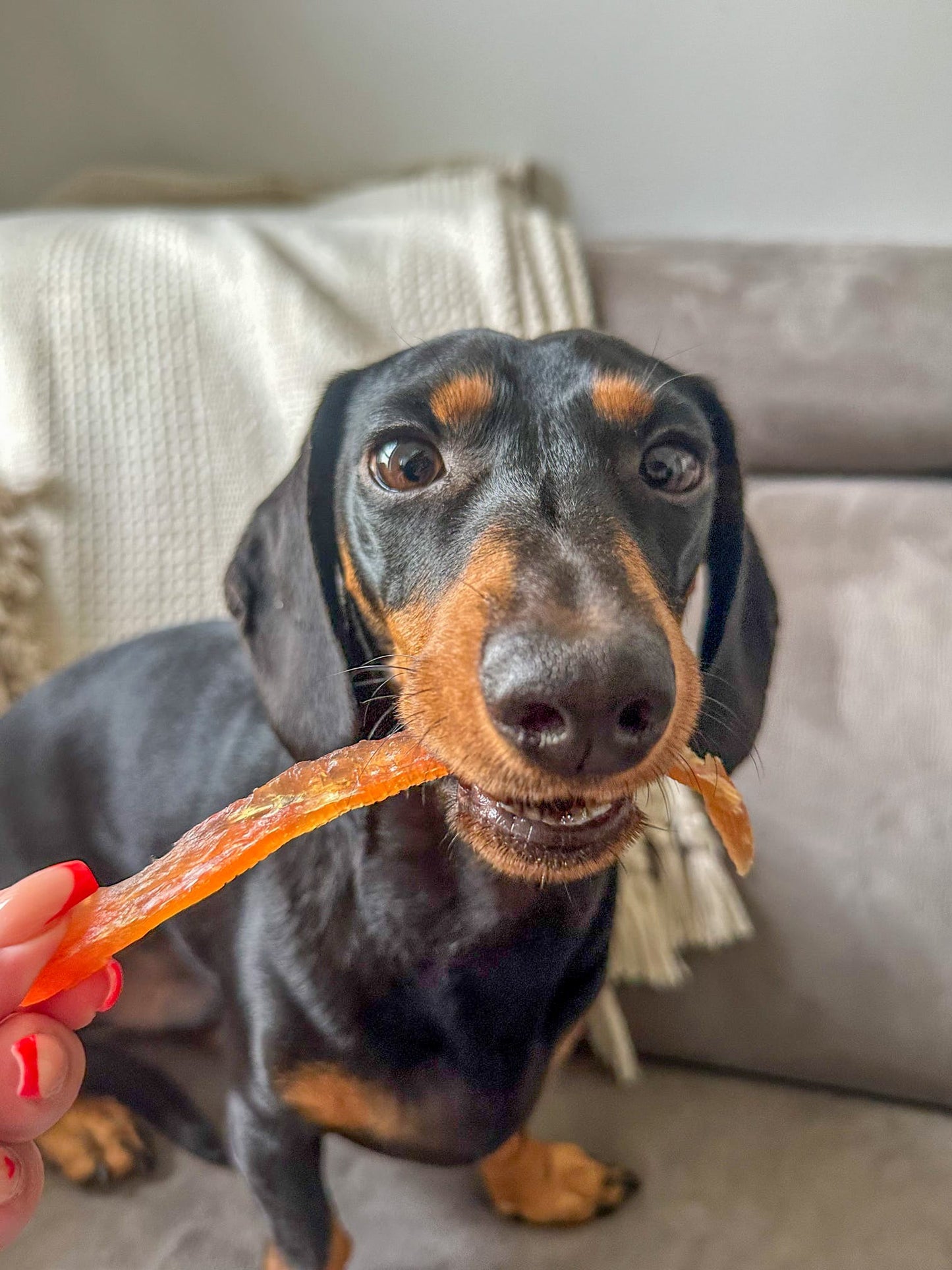 Soft Chicken Strips 50g