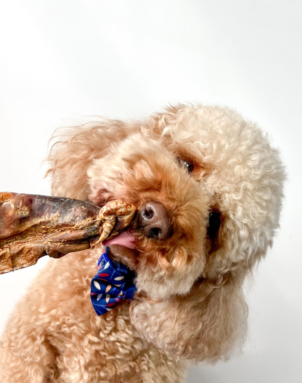 Dried Whole Beef Testicles