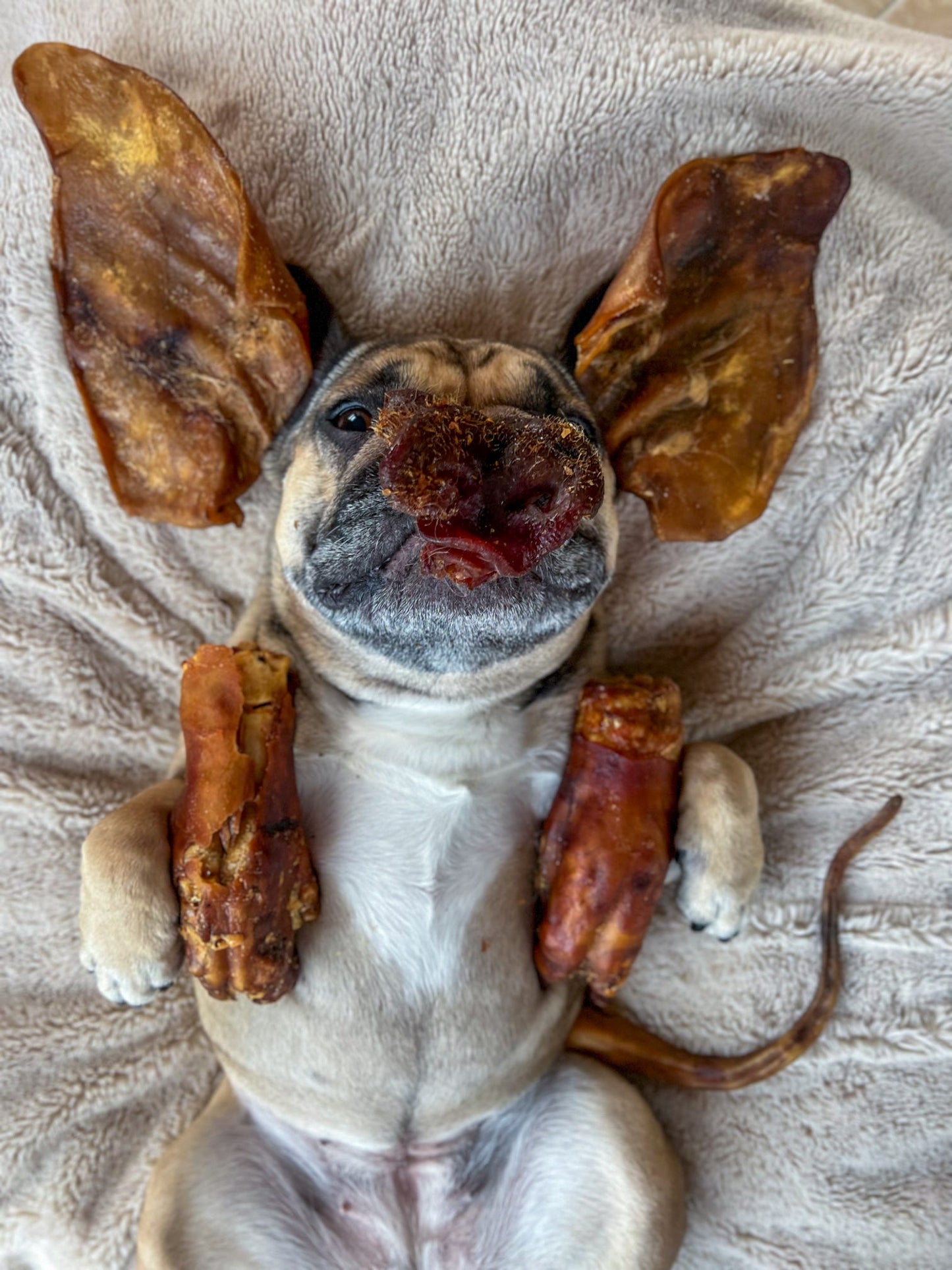 Pig Trotter