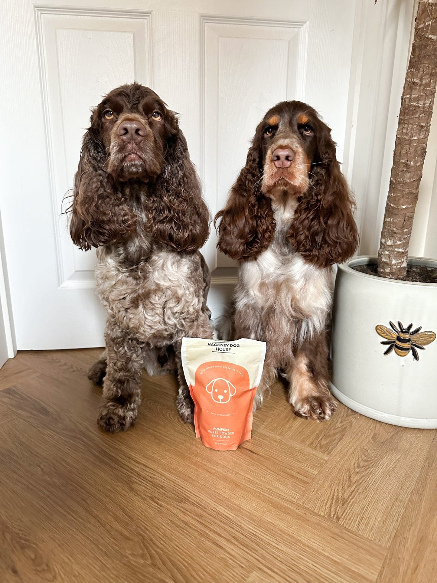 Hackney's Pumpkin Puree
