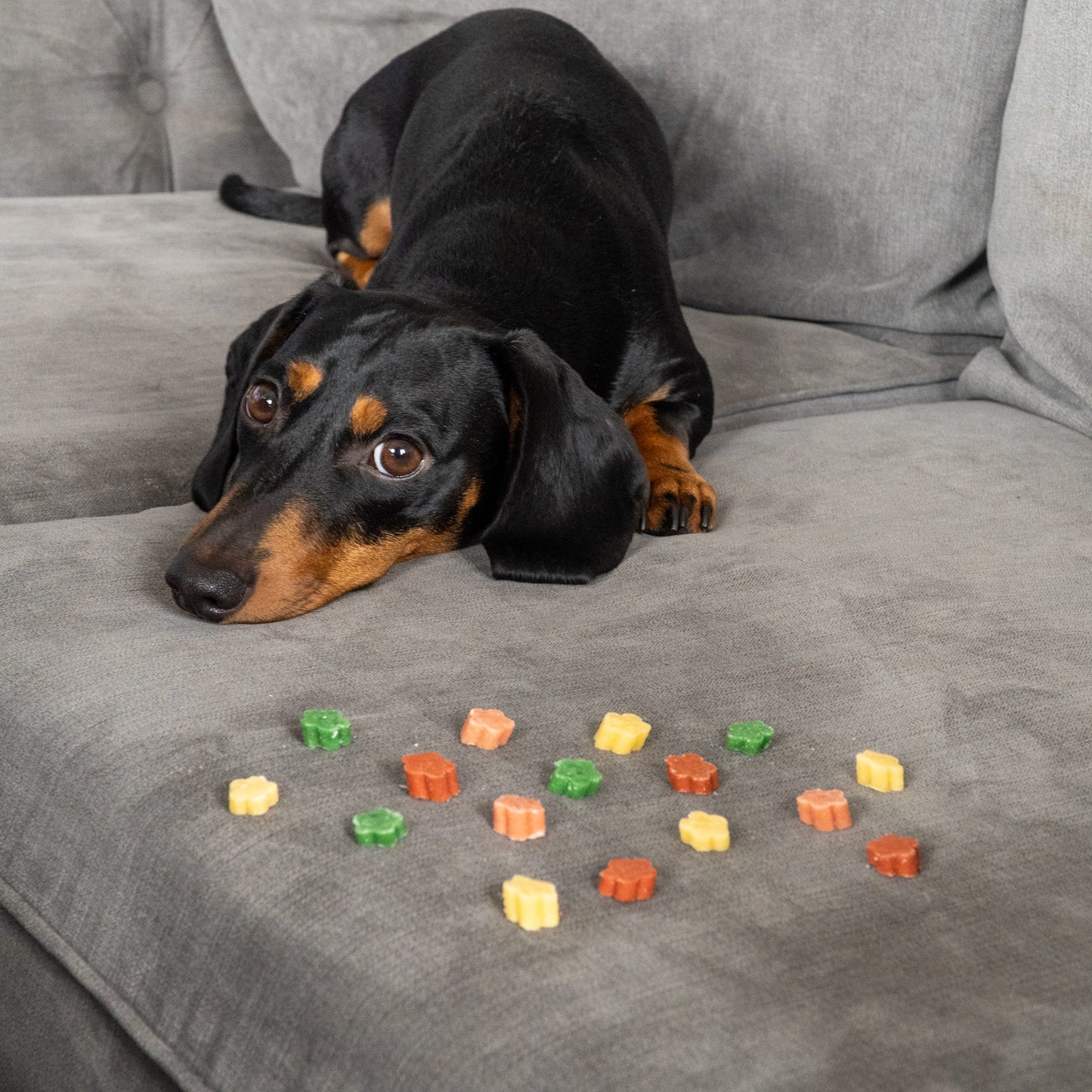 Fruit Medley 100g | new ingredients
