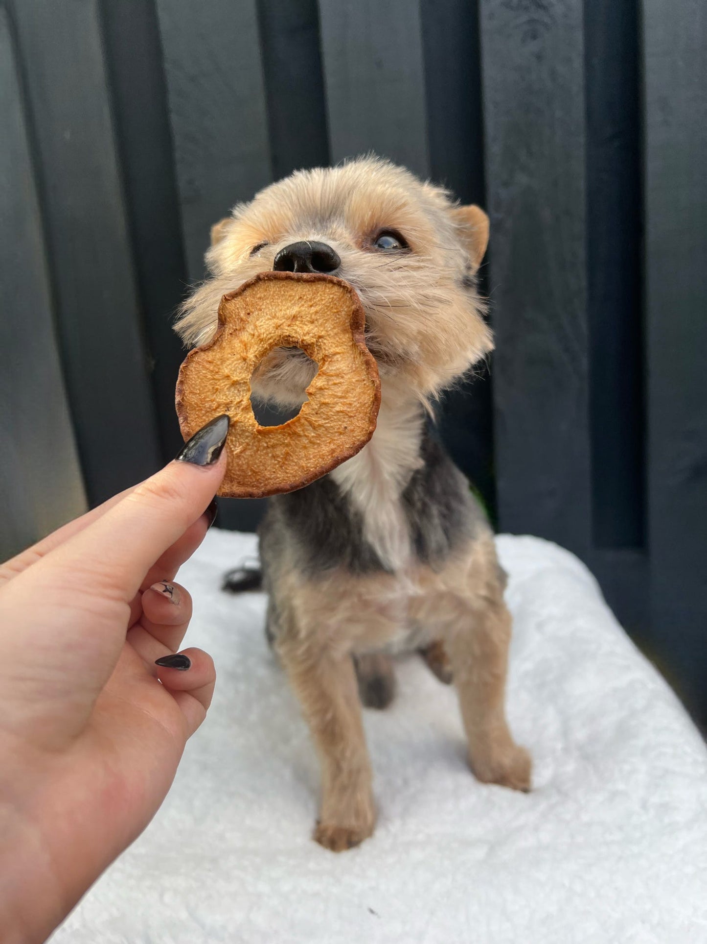 Dried Pear