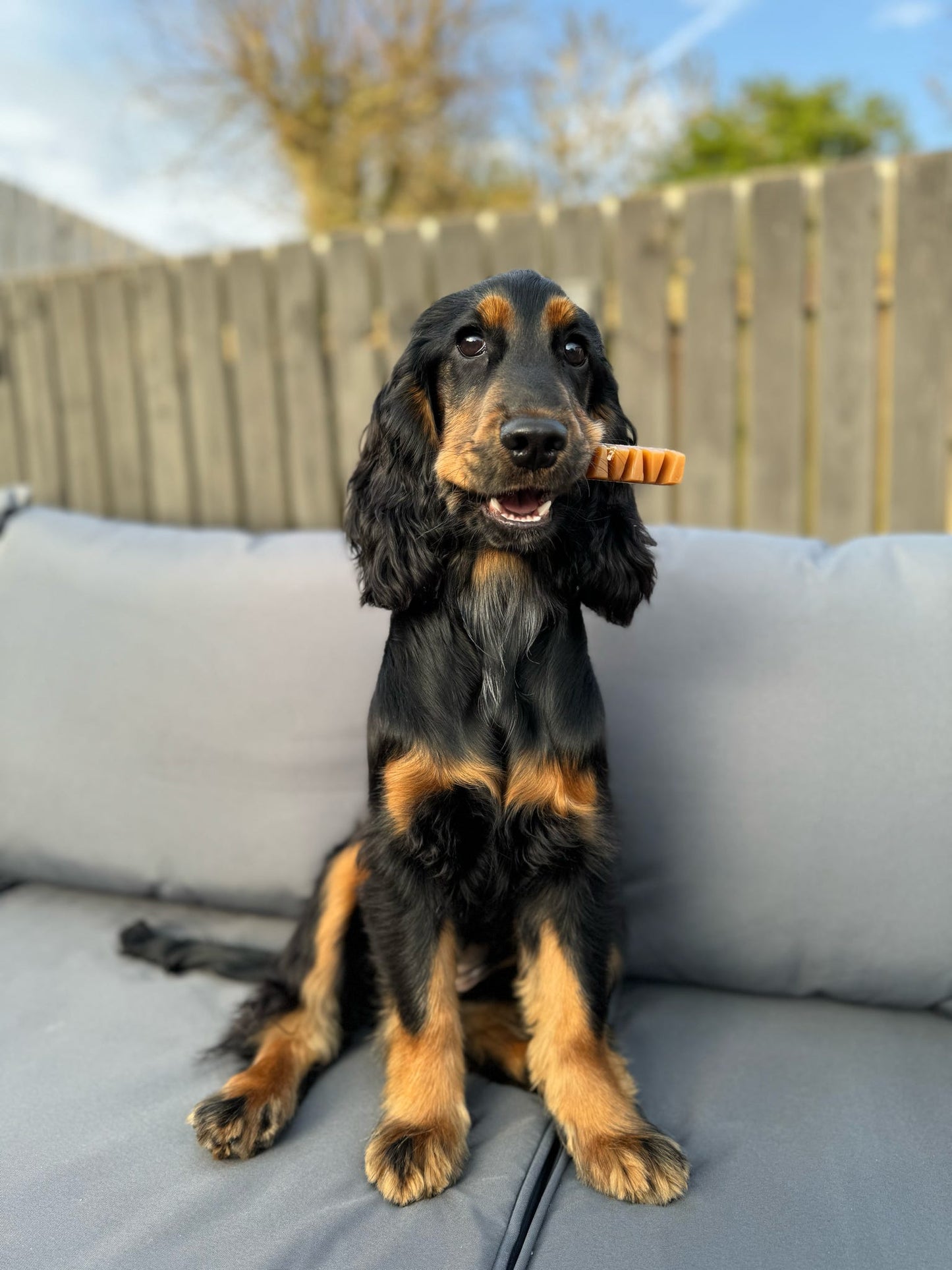 Veggie Break a Bar