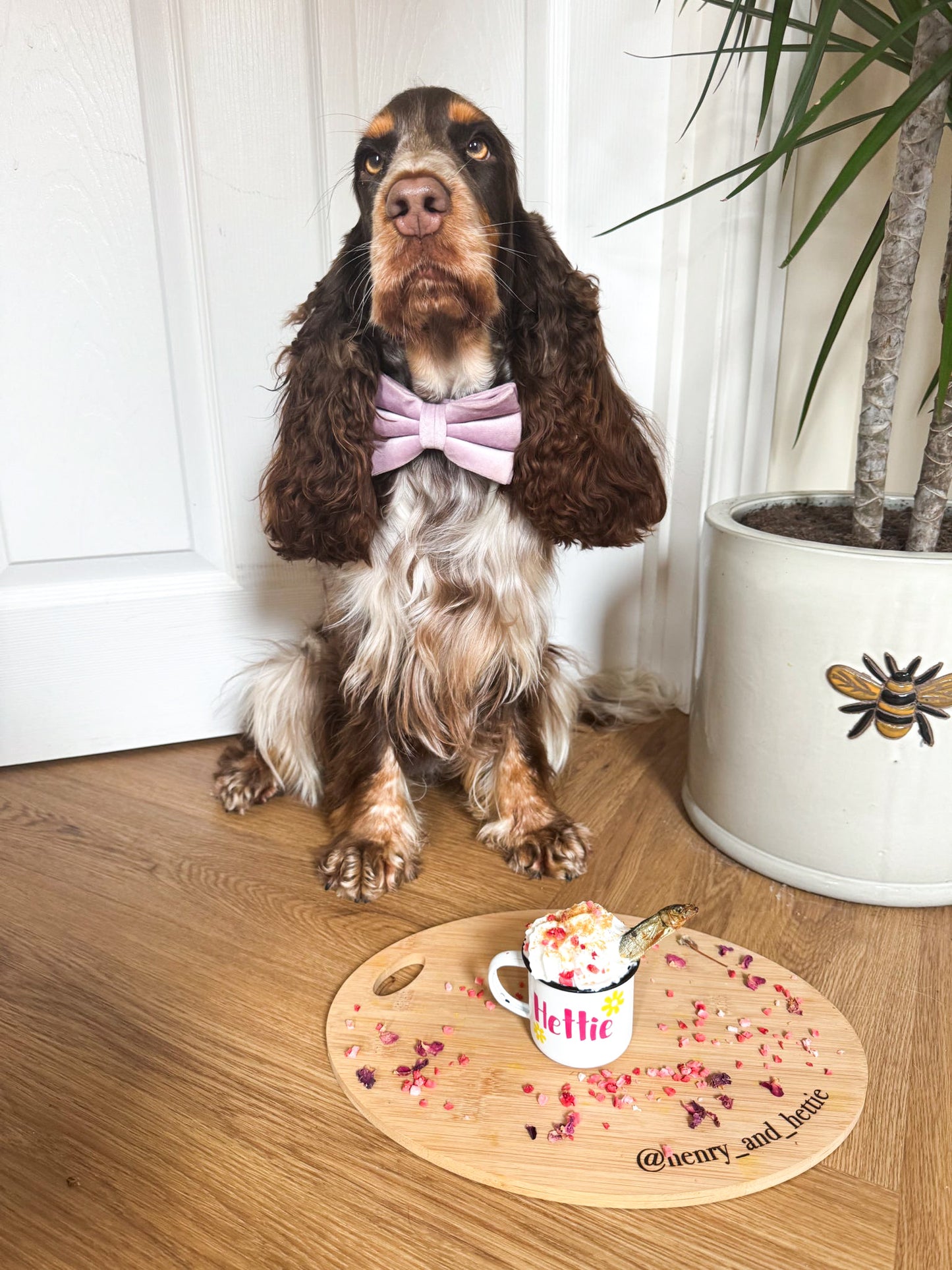 Personalised Pup Cups