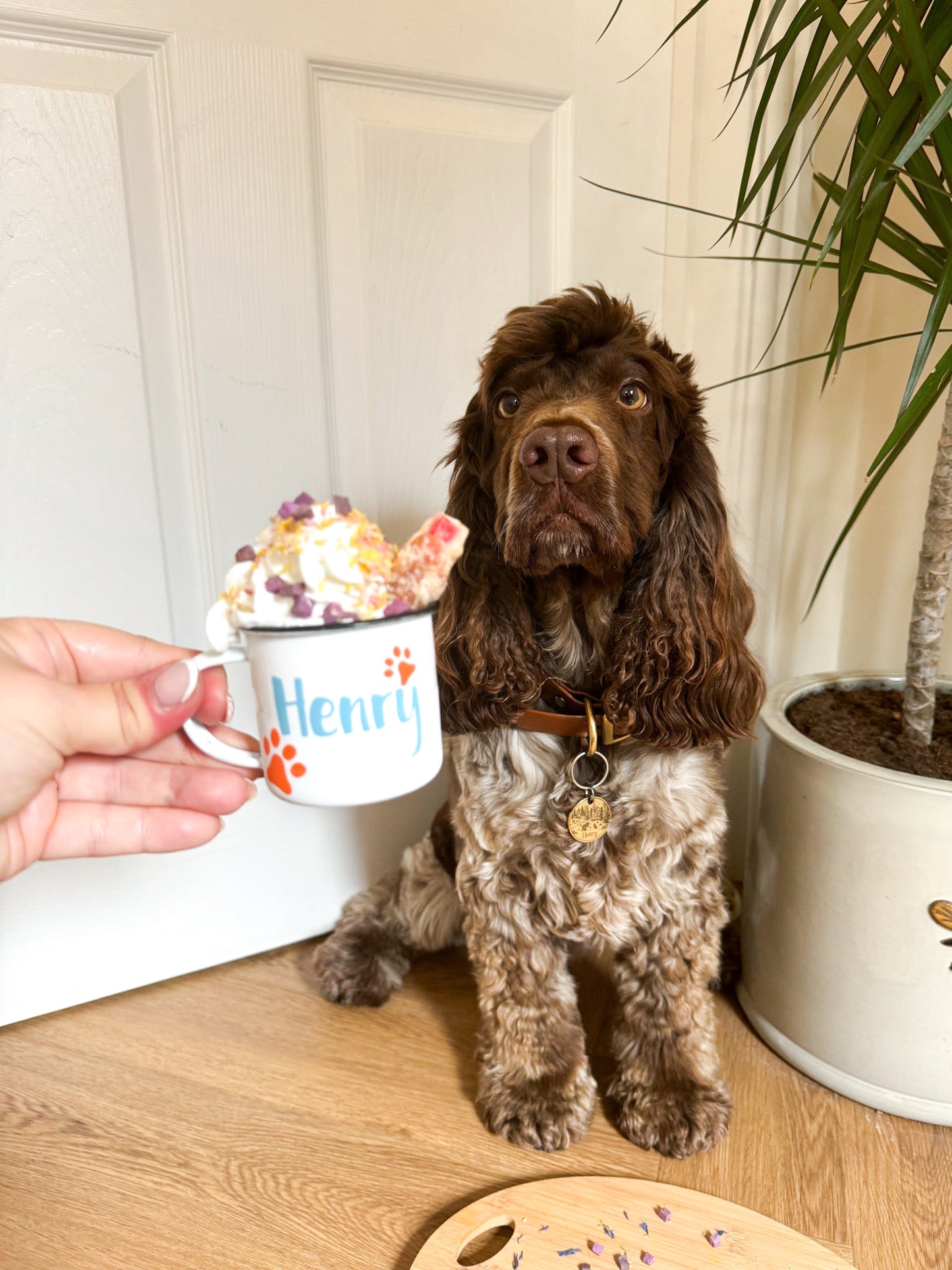 Personalised Pup Cups