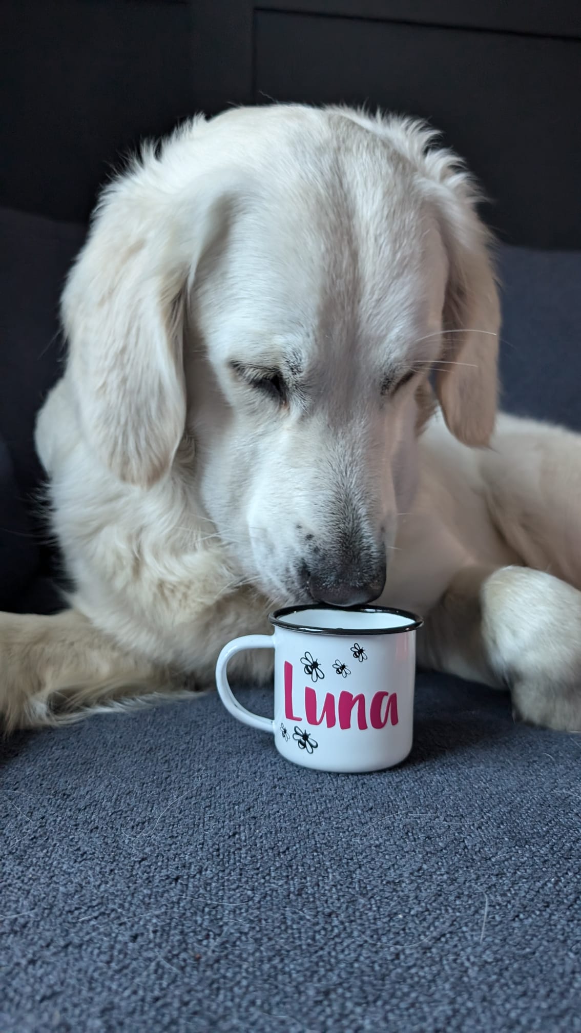 Personalised Pup Cups