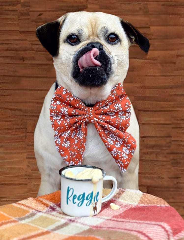 Personalised Pup Cups