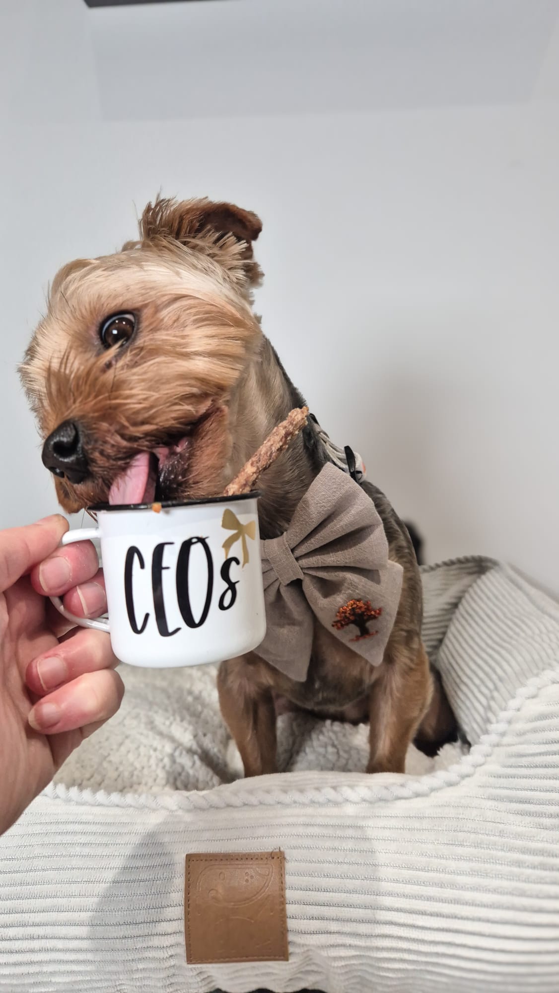 Personalised Pup Cups