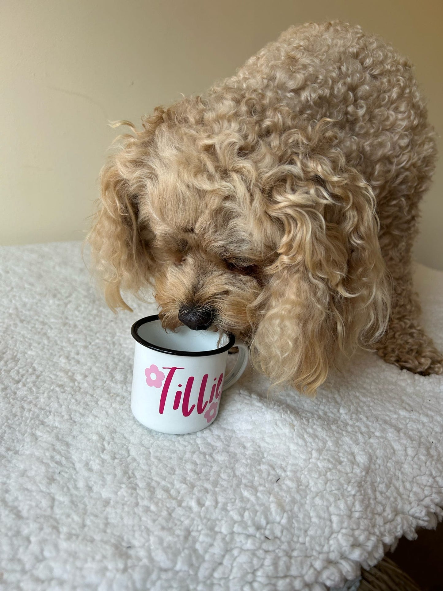 Personalised Pup Cups