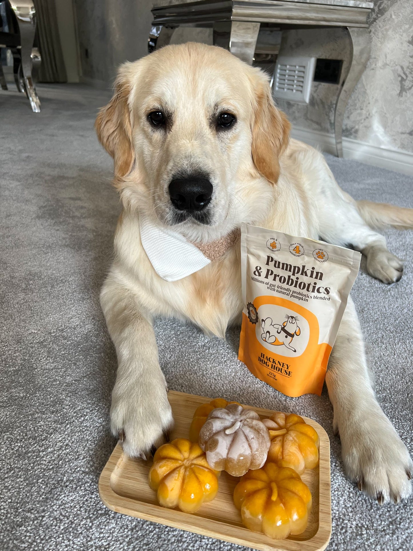 Hackney's Pumpkin & Probiotics