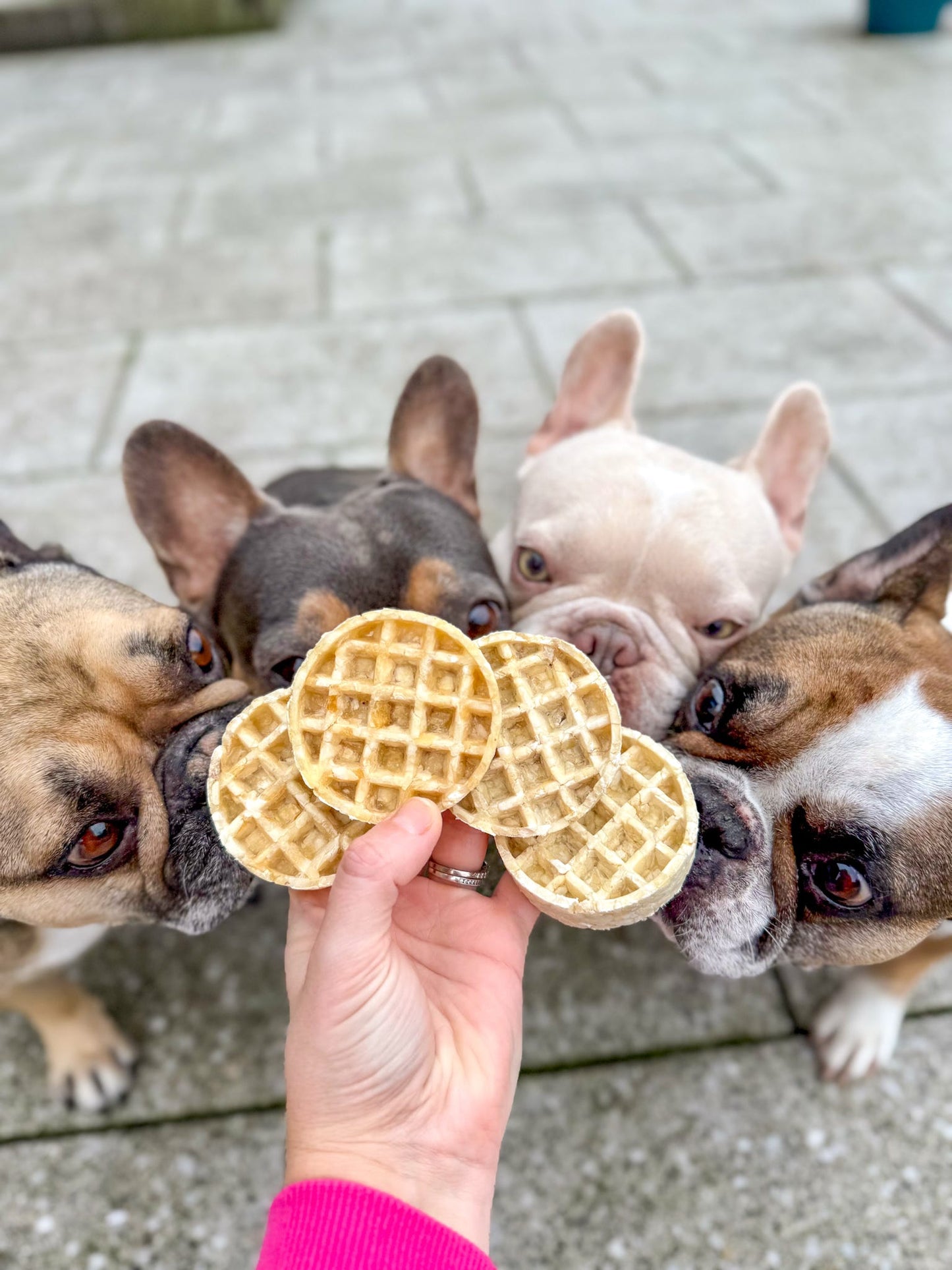 Anco Naturals Collagen Waffle