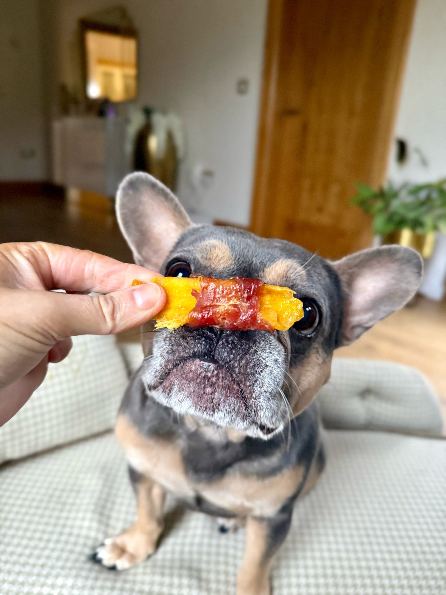 Mango Chunks Wrapped Duck Breast