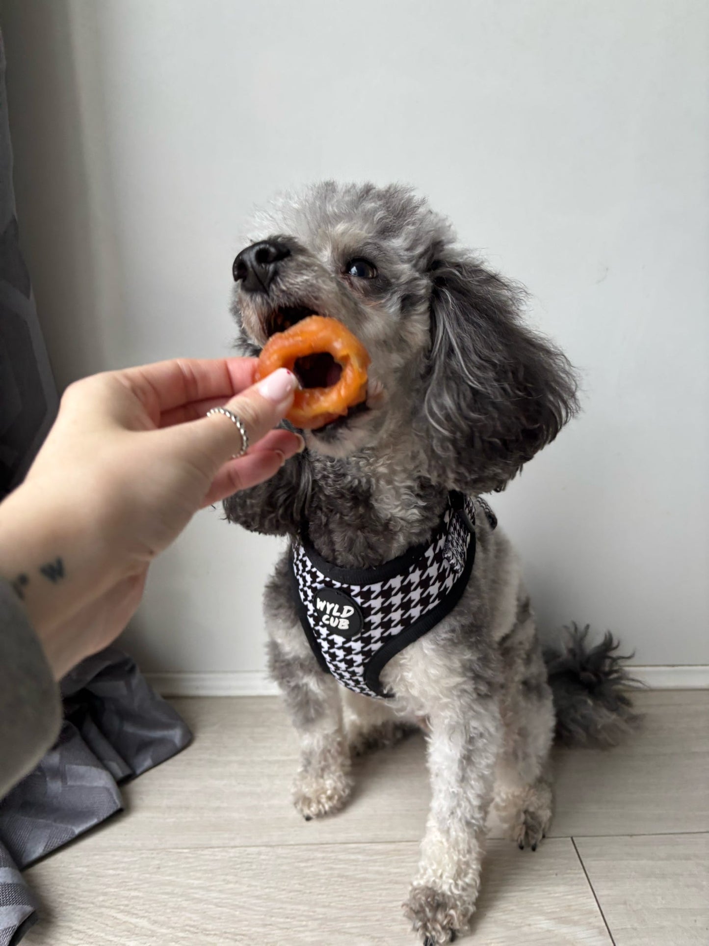 Squid & Chicken Ring