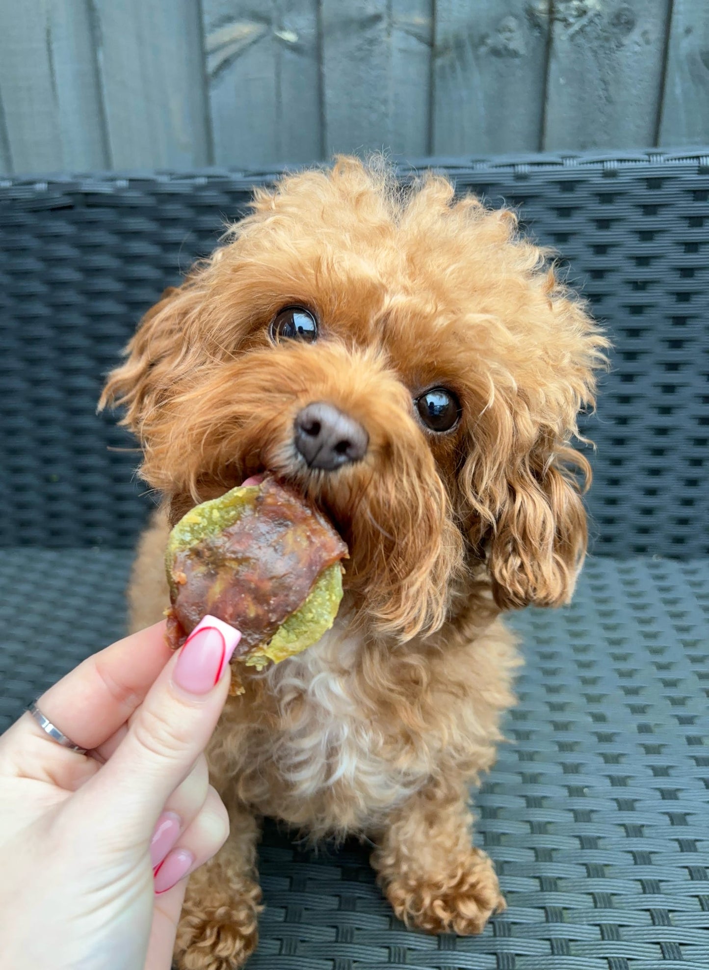 Kiwi Chunks Wrapped Duck Breast