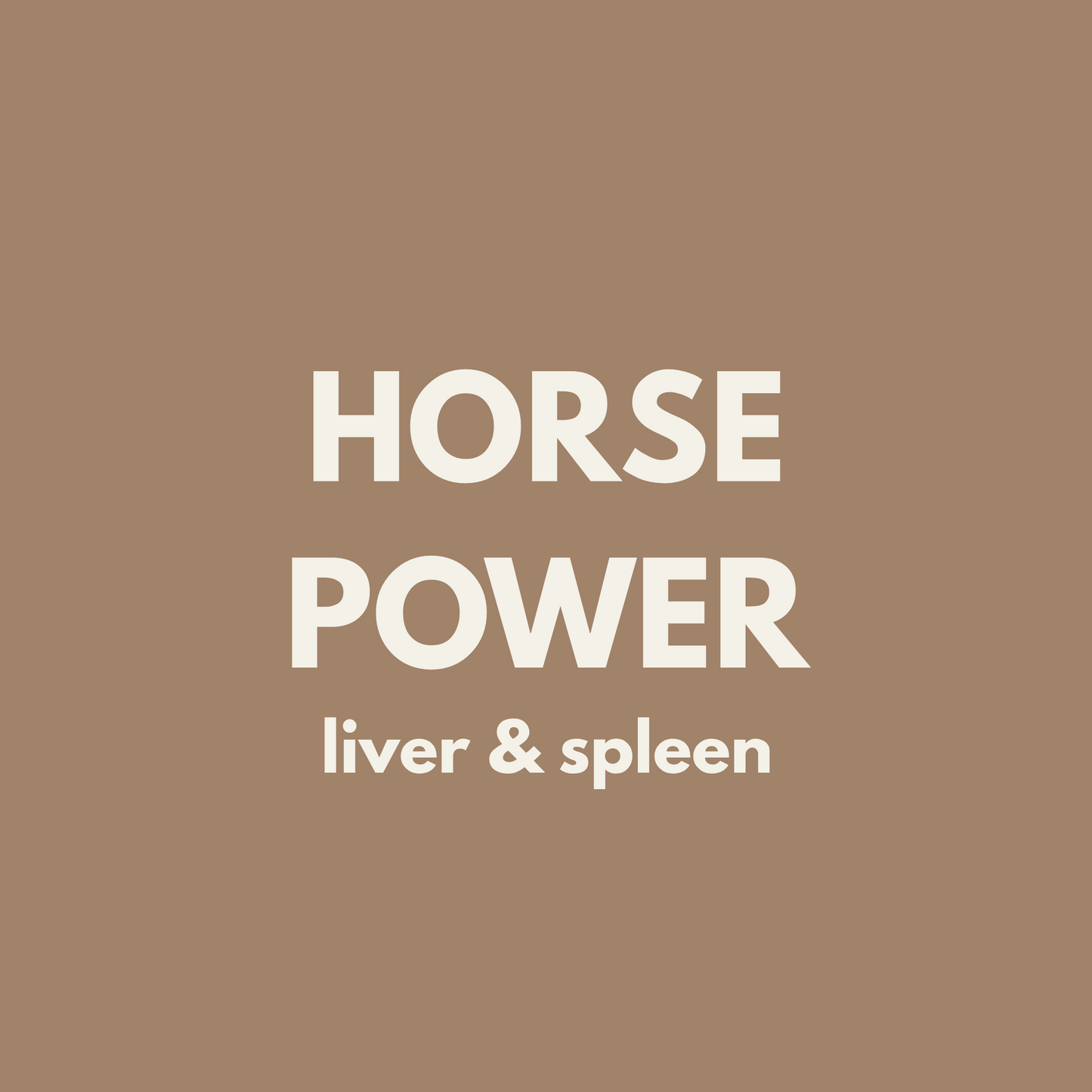 Fiver Friday | Horse Power 🐴