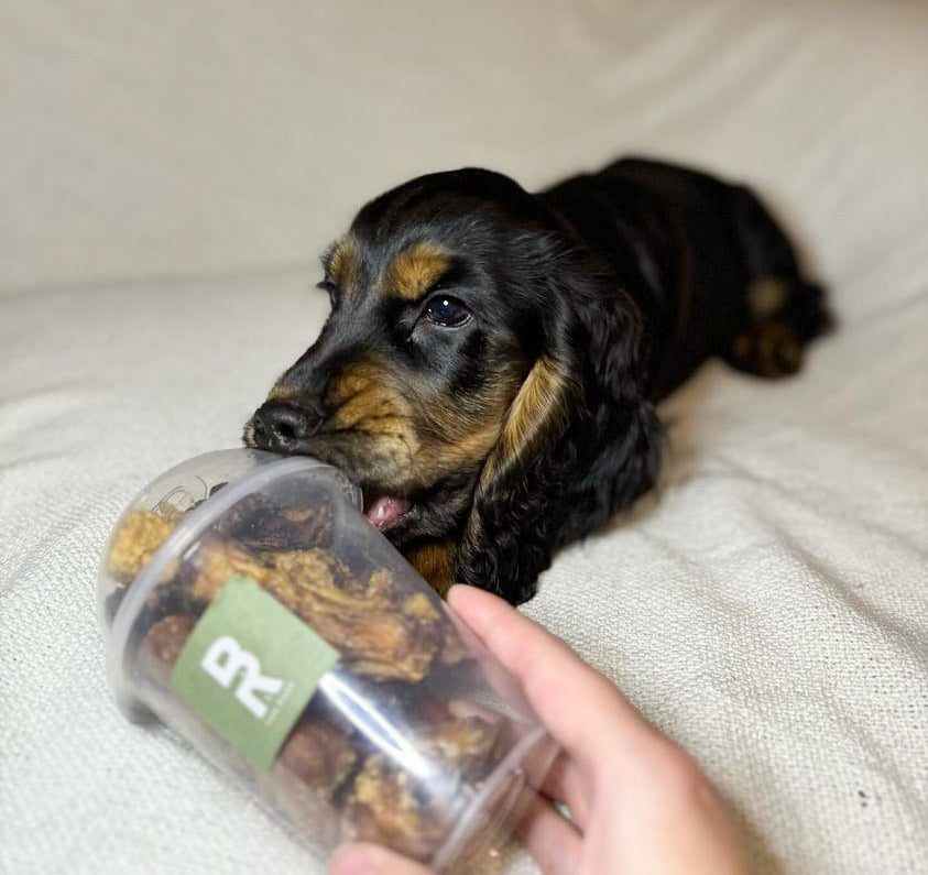 'Sweet' Pup Cup