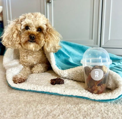 'Sweet' Pup Cup