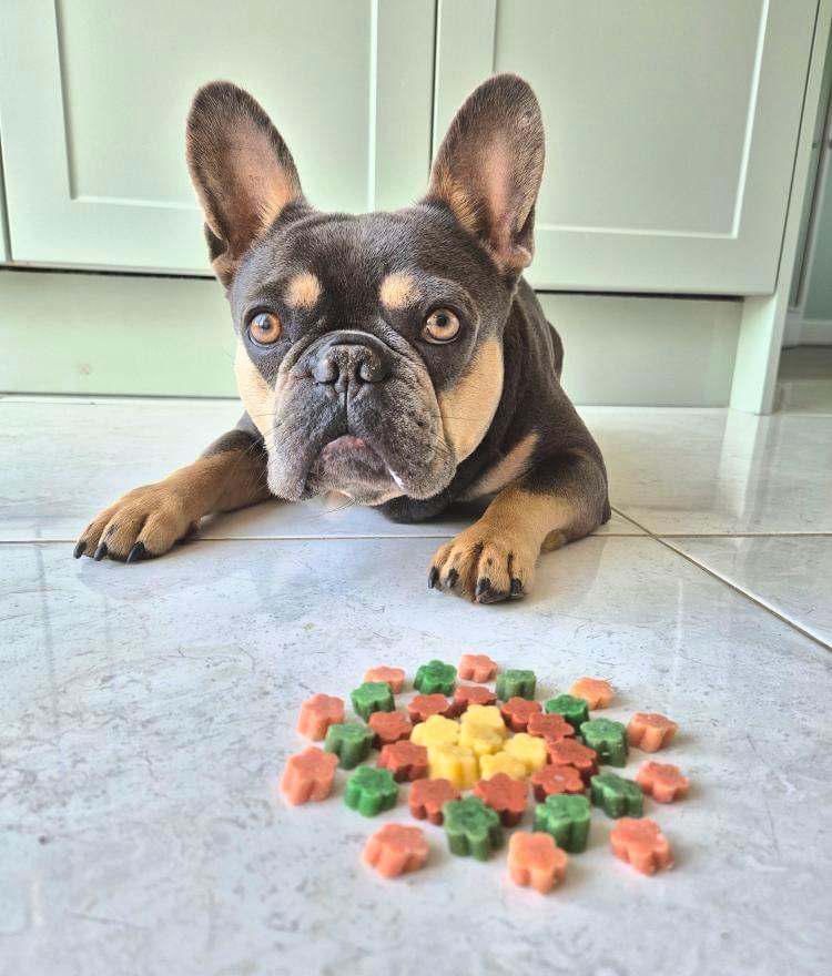 Fruit Medley 100g | new ingredients