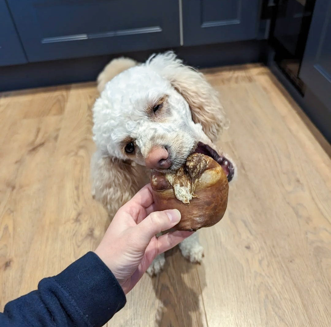 Dried Whole Beef Testicles