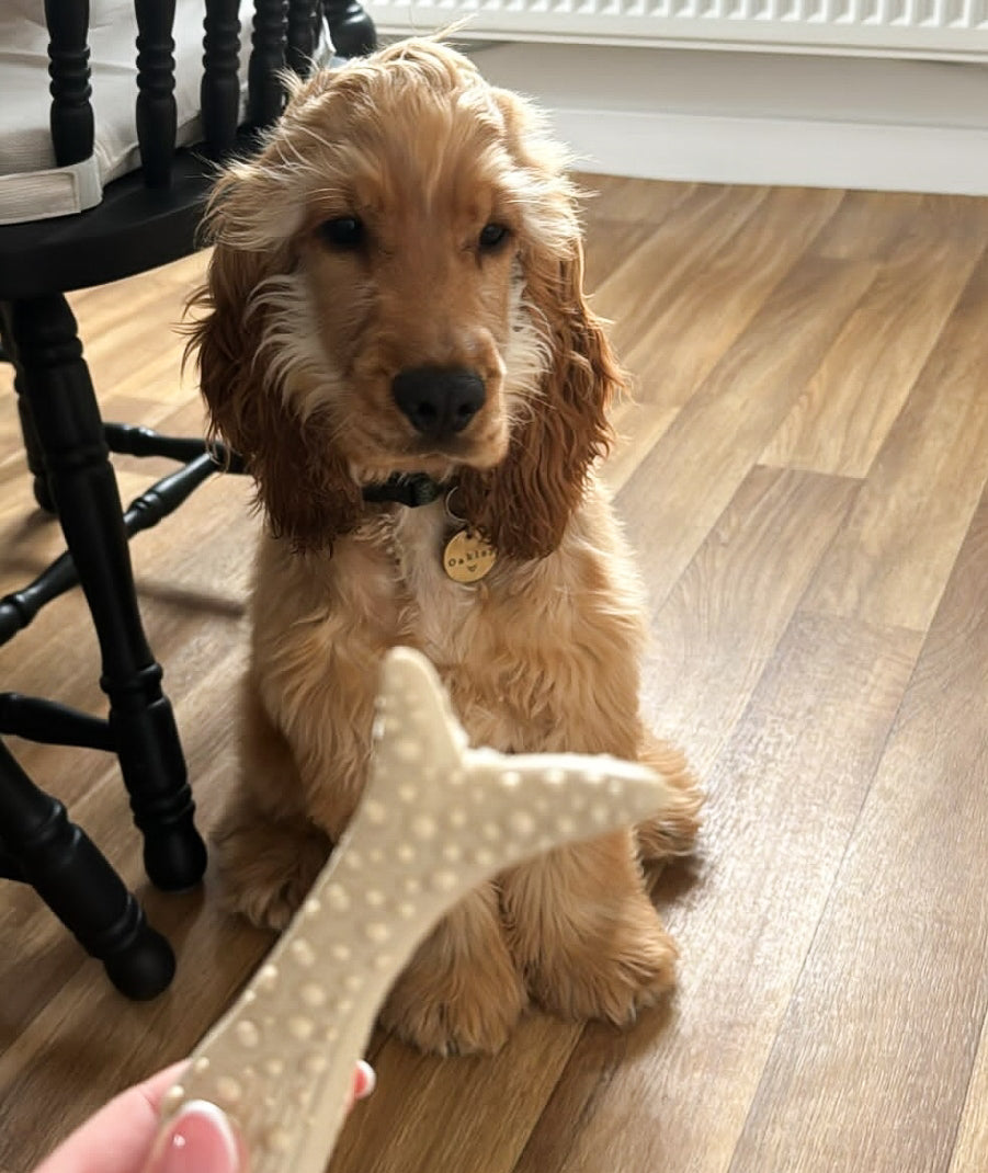 Peanut Butter Antler