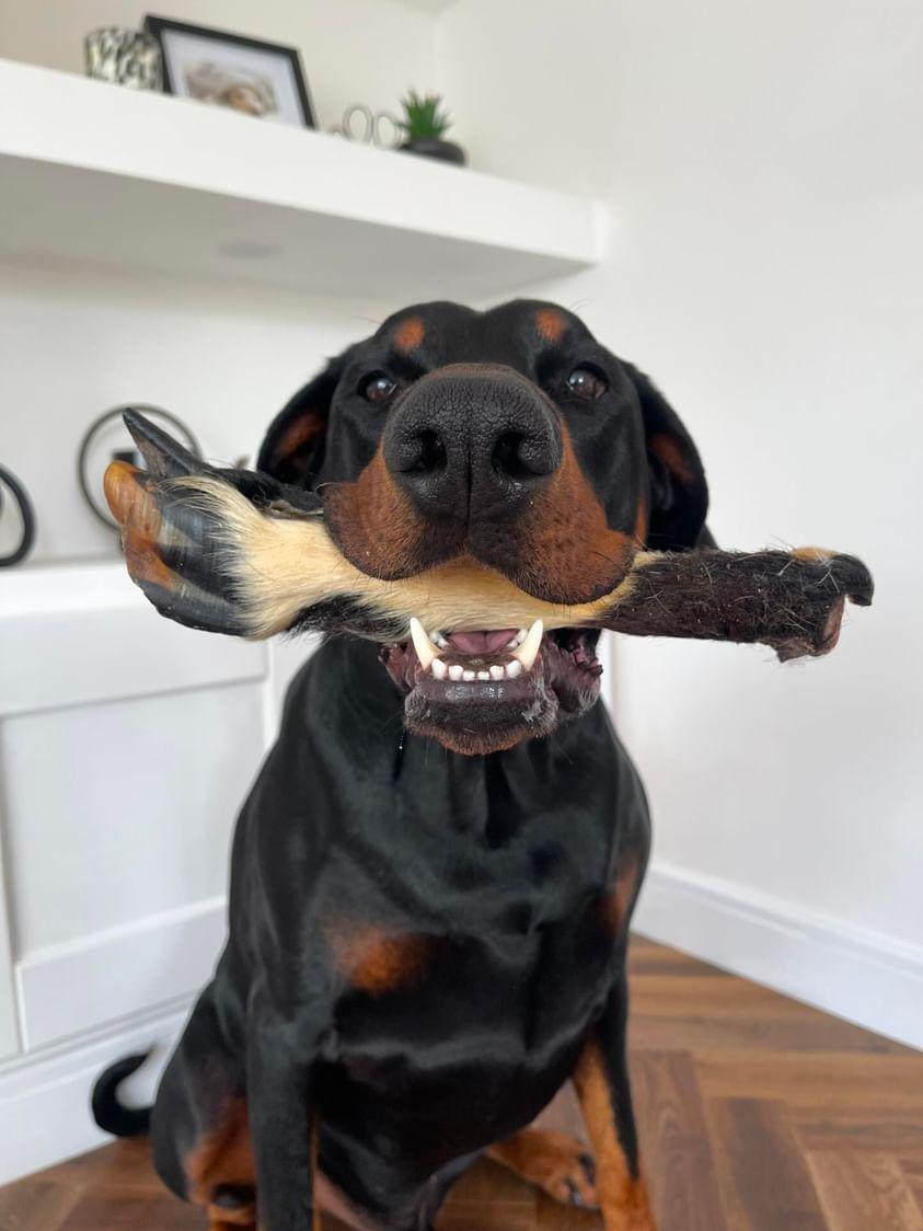 Hairy Lamb Leg