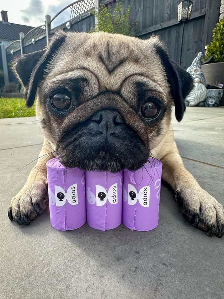 Adiós Plastic Single Rolls