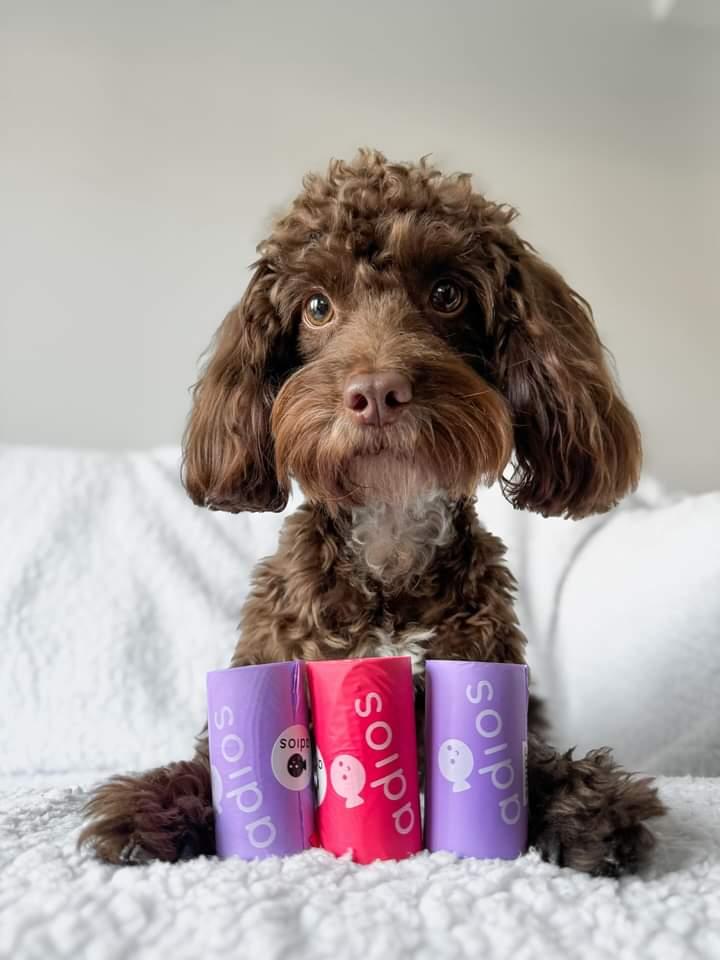 Adiós Plastic Single Rolls