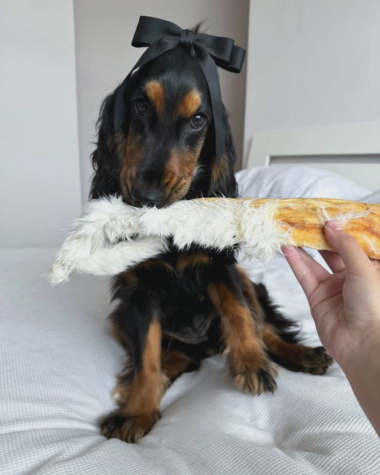 JUMBO Rabbit Skin Roll