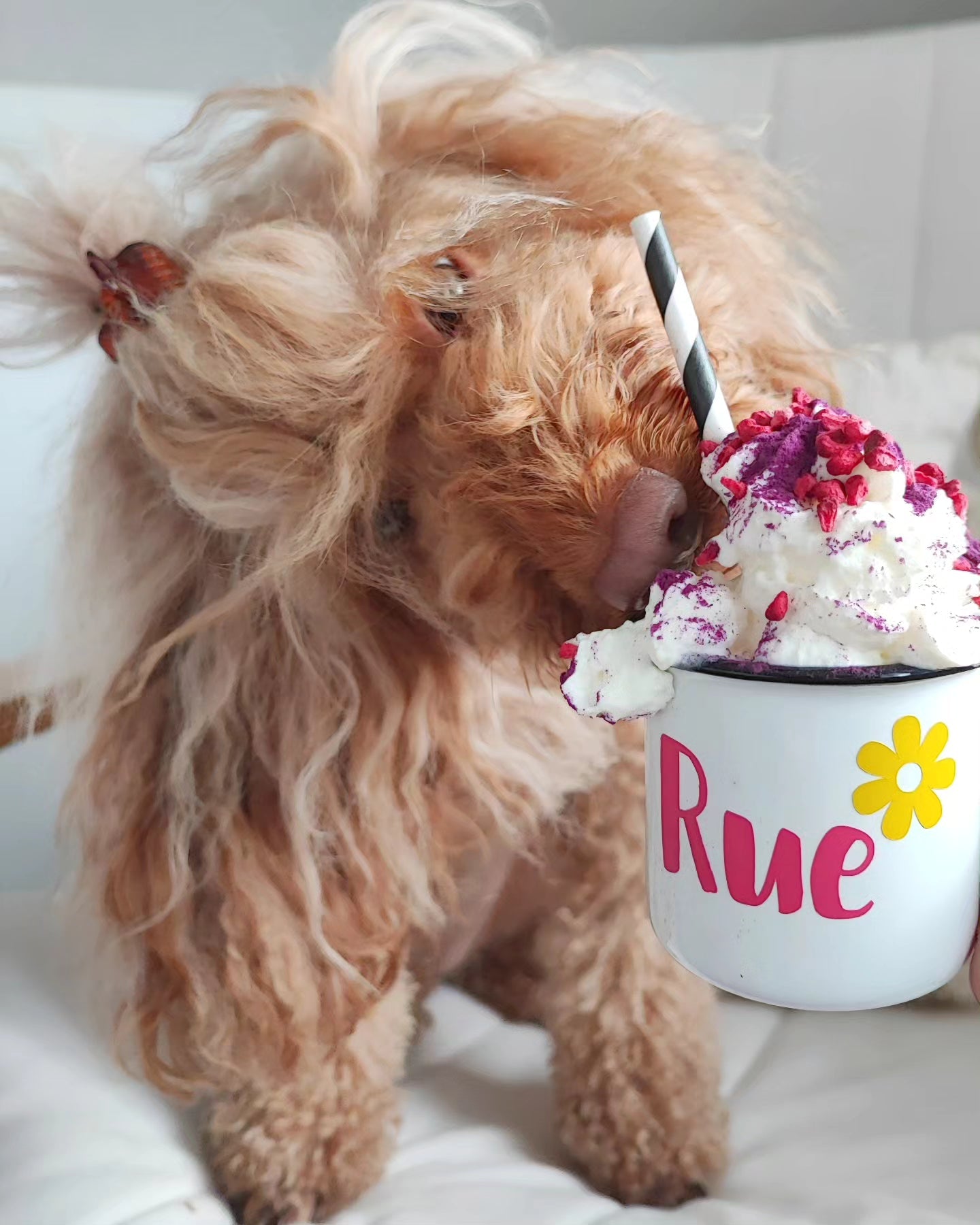 Personalised Pup Cups