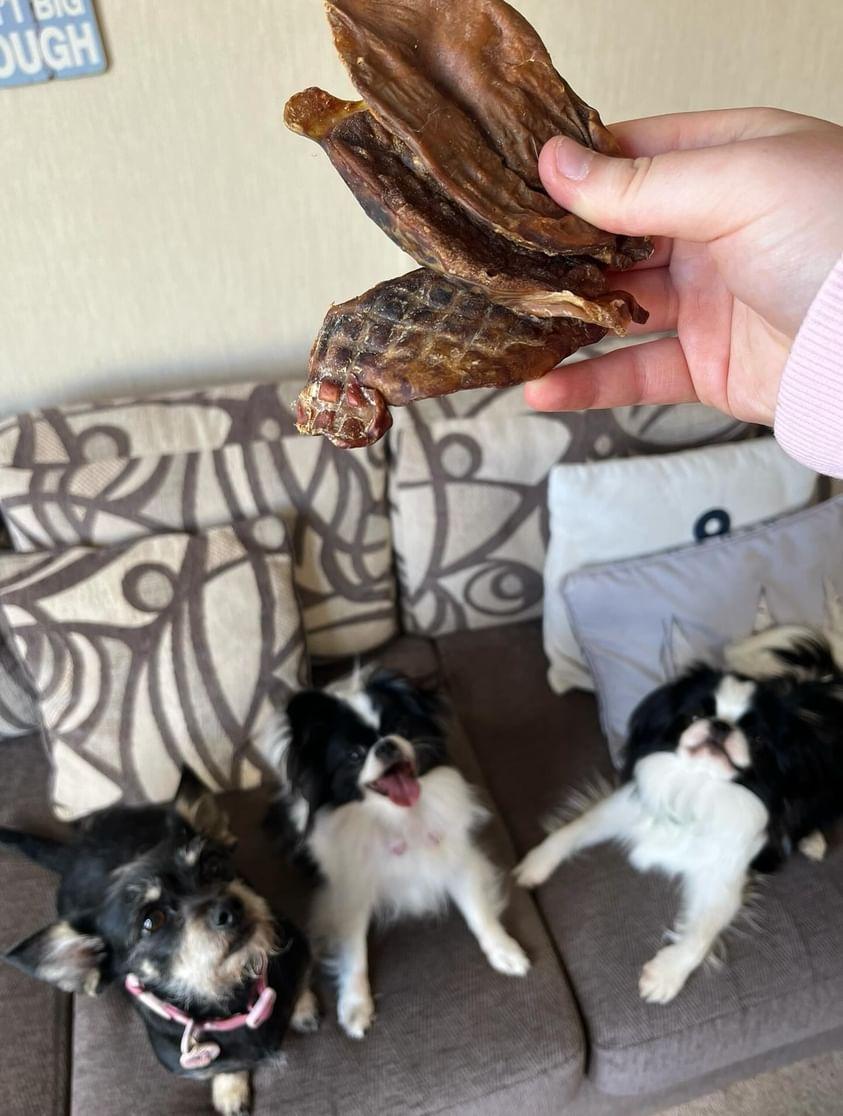 Dried Beef cut Testicles