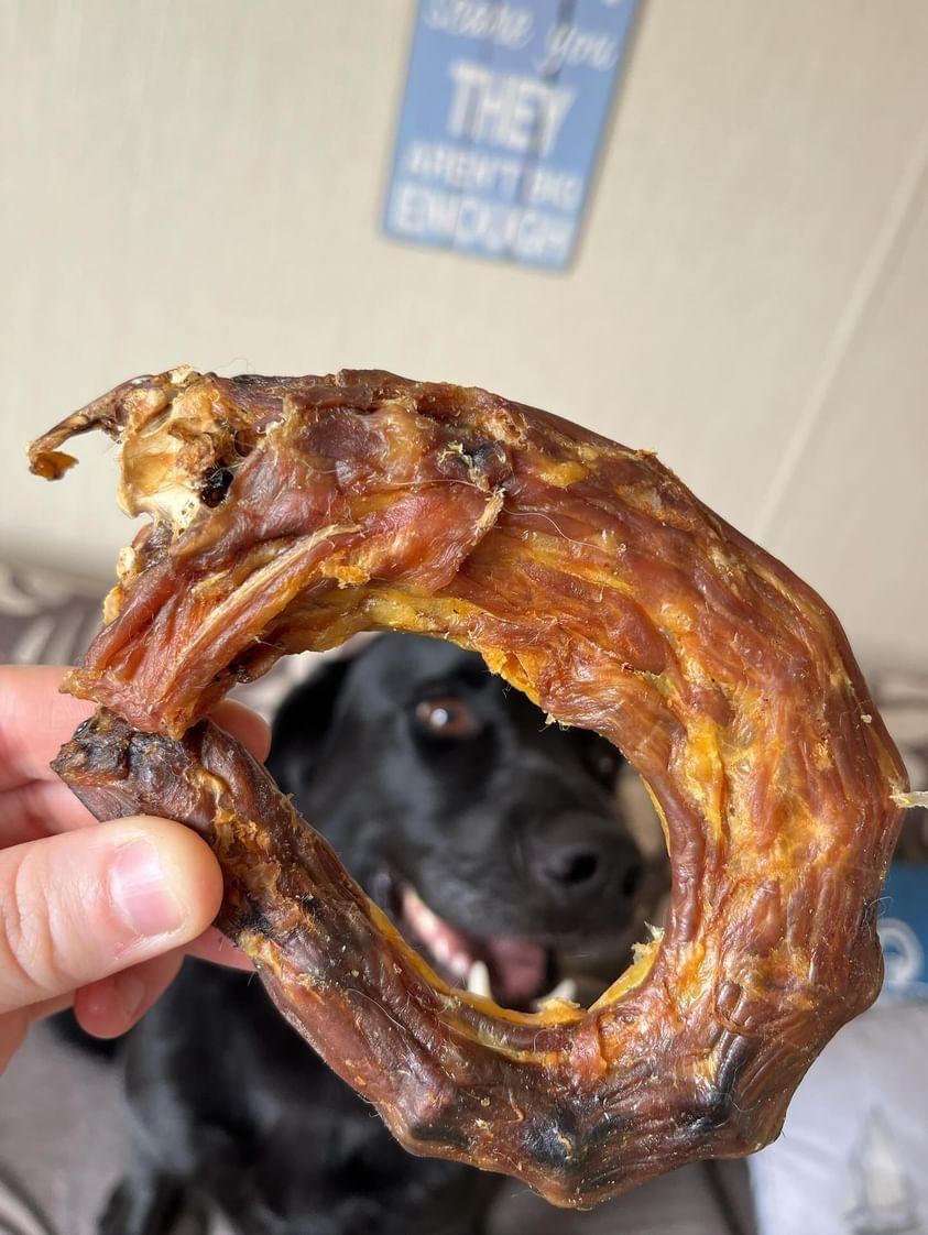 Turkey Necks