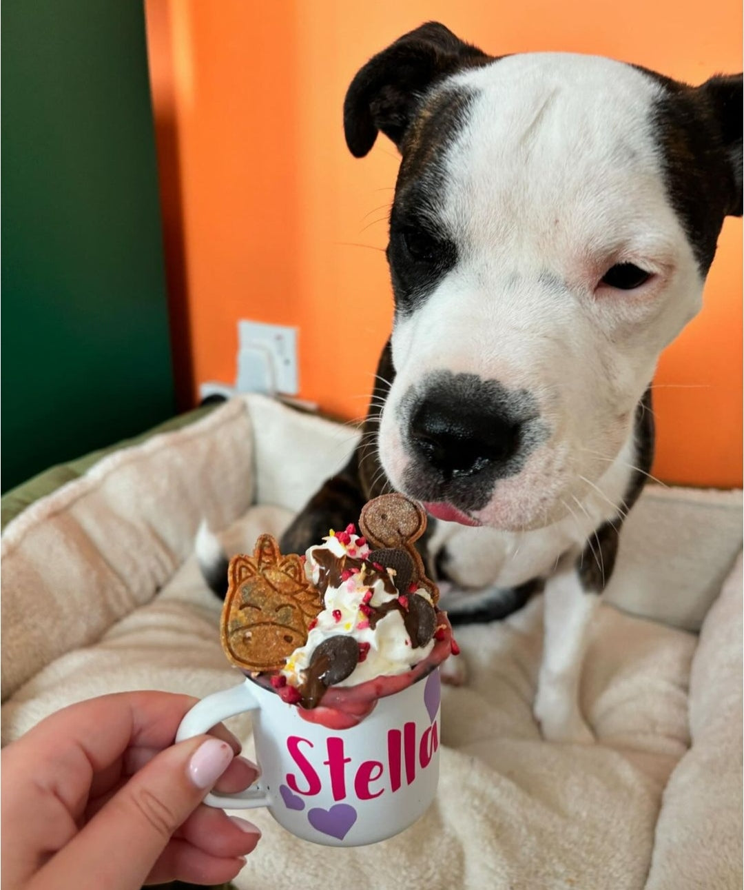 Personalised Pup Cups