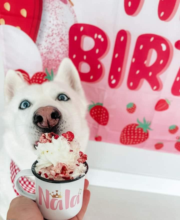 Personalised Pup Cups
