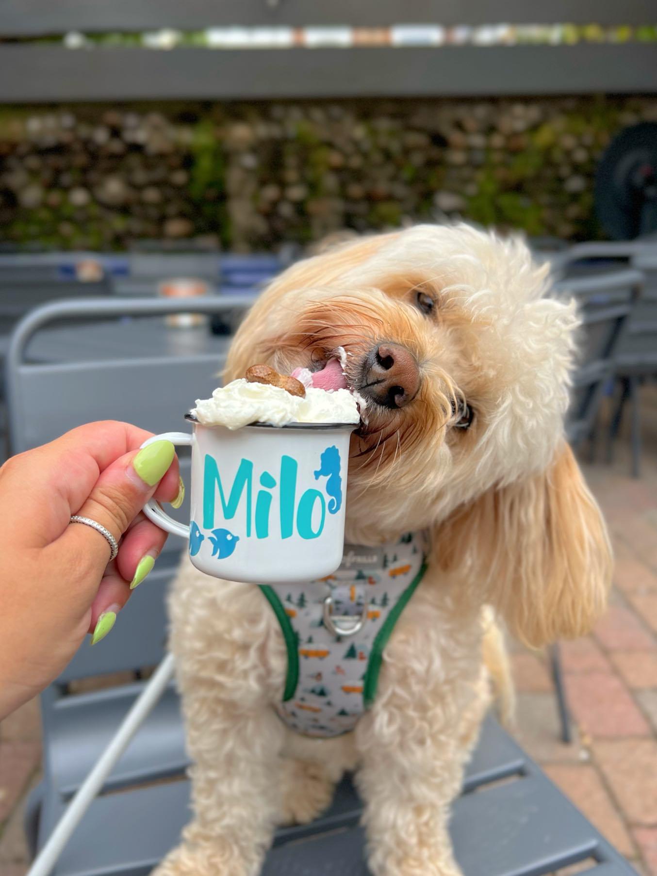 Personalised Pup Cups