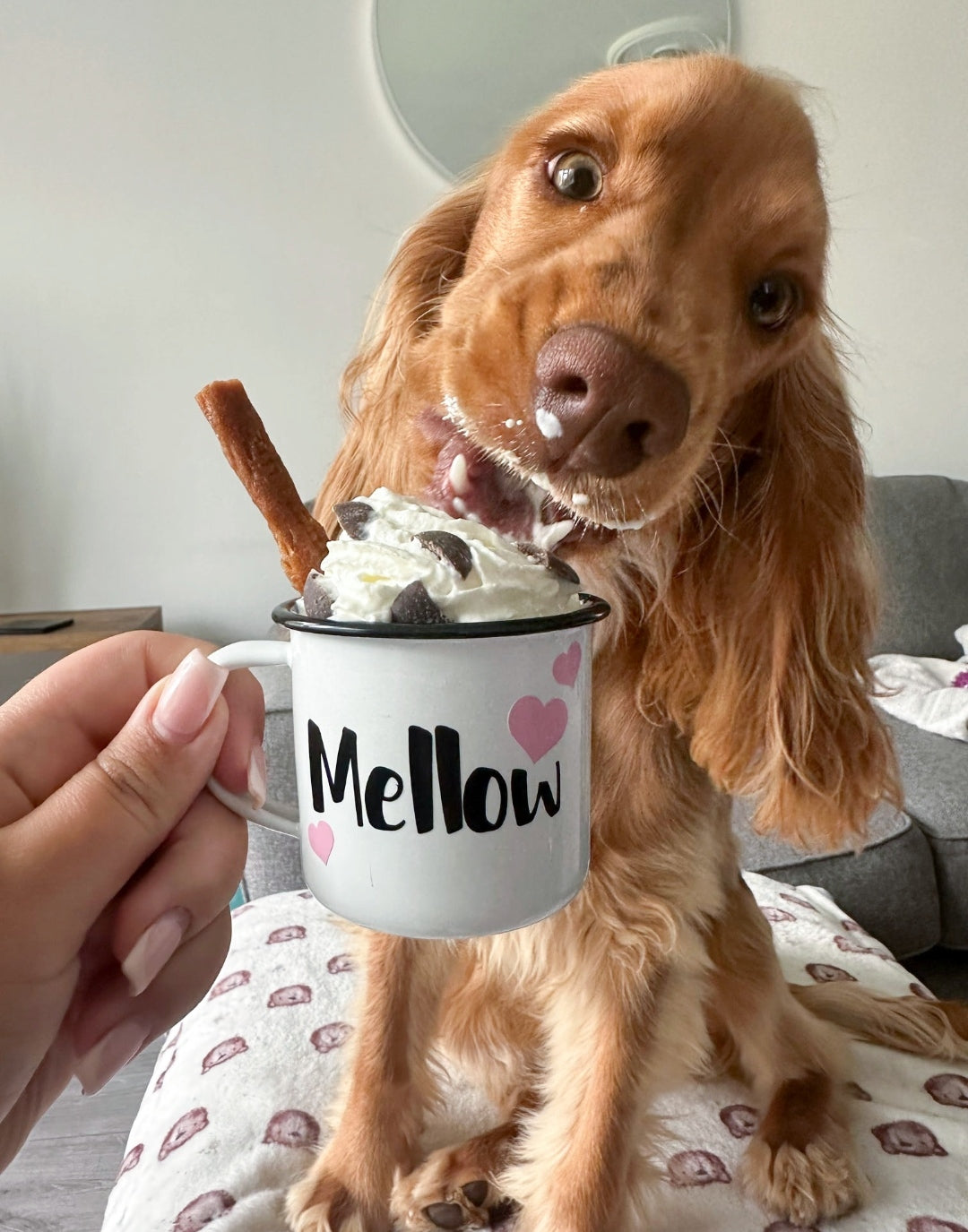 Personalised Pup Cups