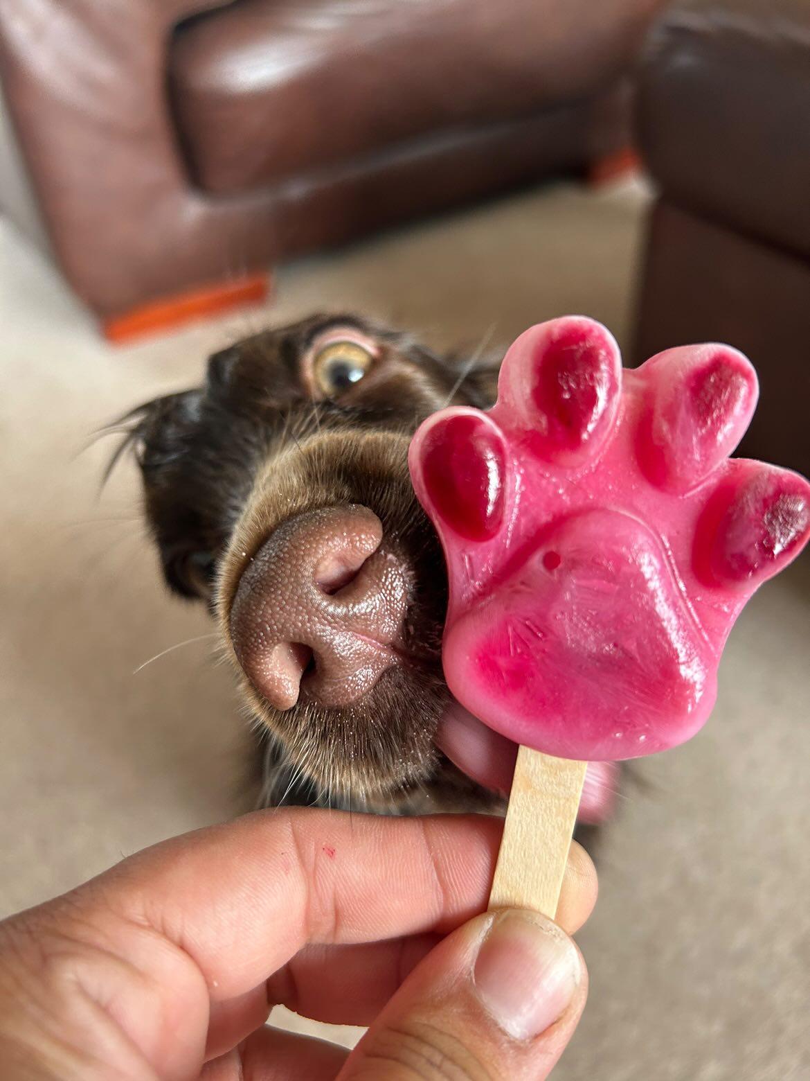 Paw Ice Lolly Mould