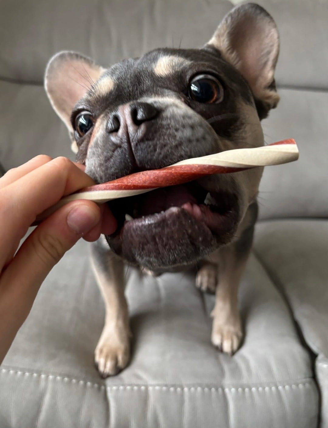 Veggie Cheese & Tomato Straw