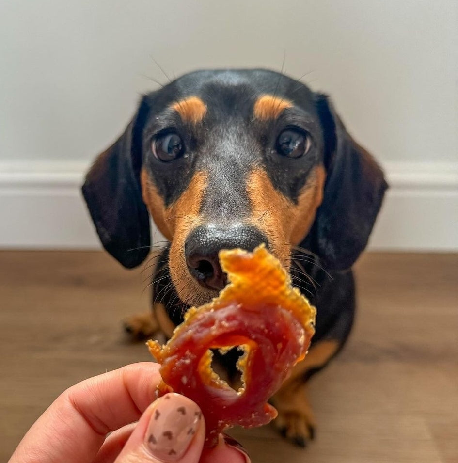 Duck Rings