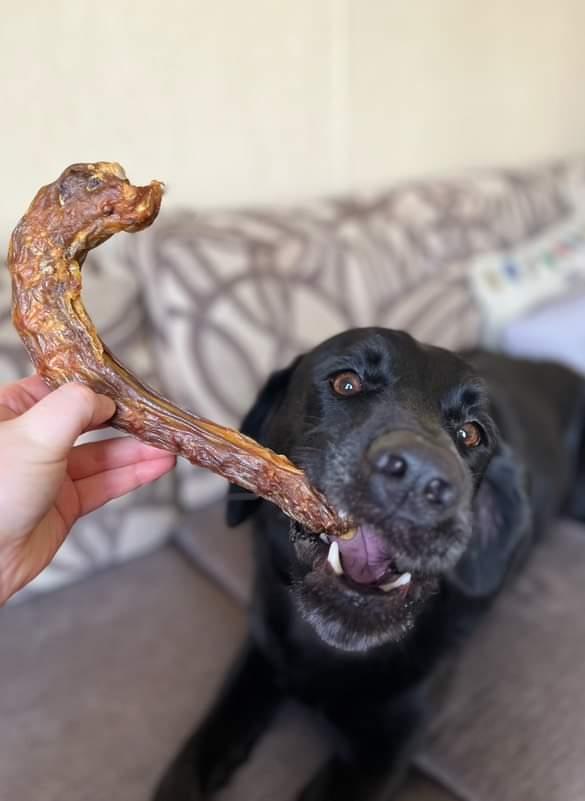 Turkey Necks