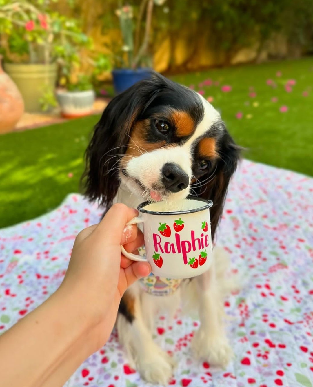 Personalised Pup Cups
