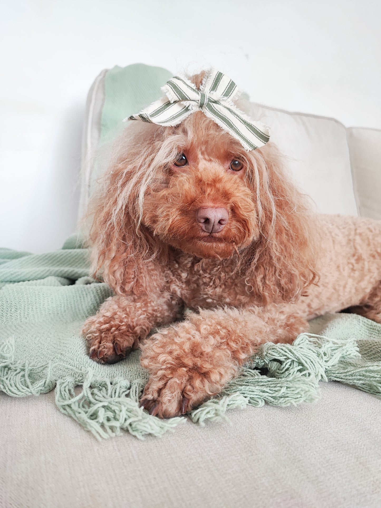 Handmade Festive Bows | Hair Clip or for Decorative Purposes