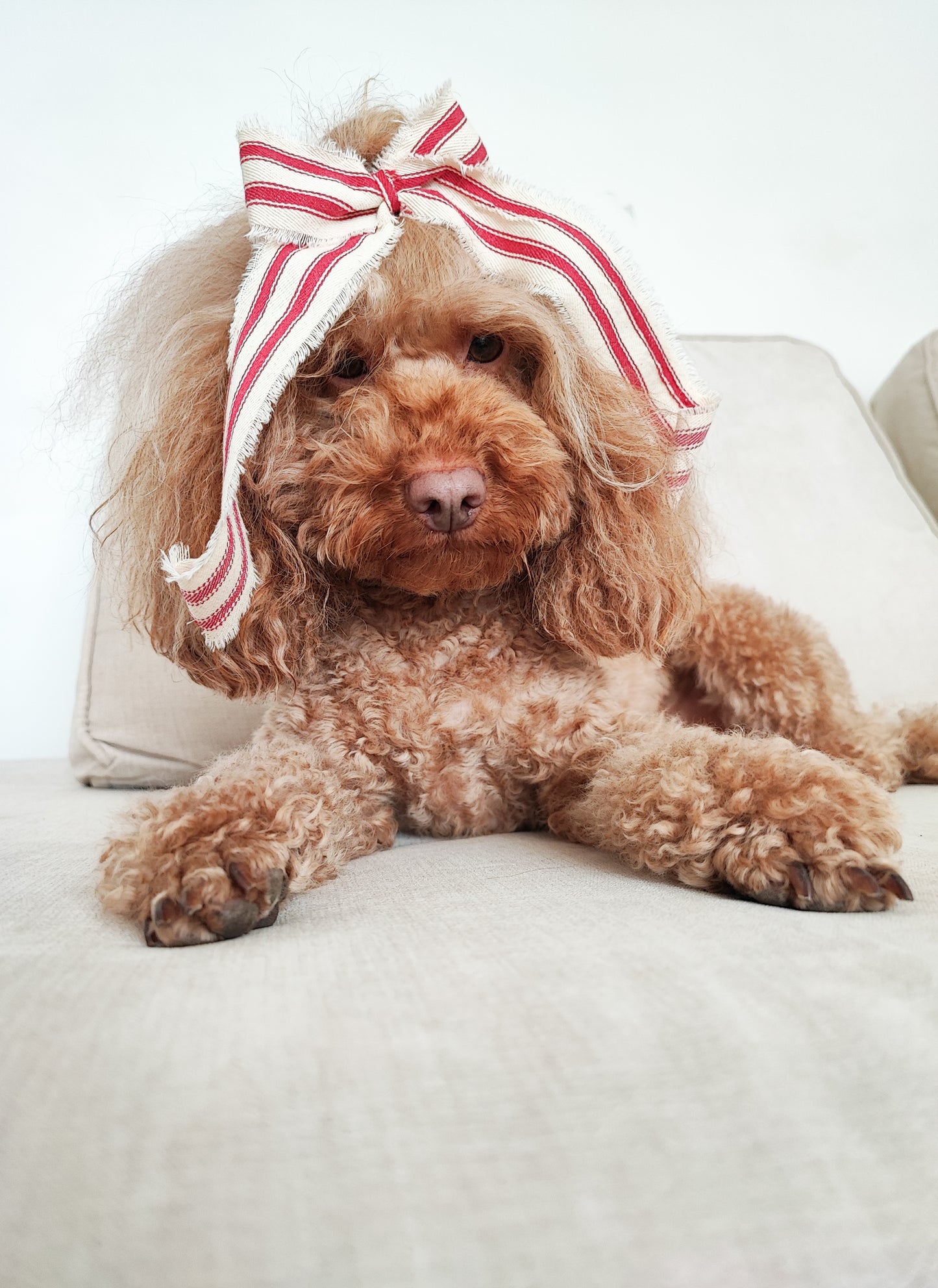 Handmade Festive Bows | Hair Clip or for Decorative Purposes
