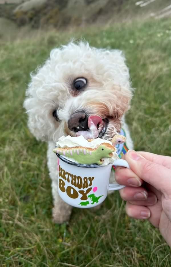 Personalised Pup Cups
