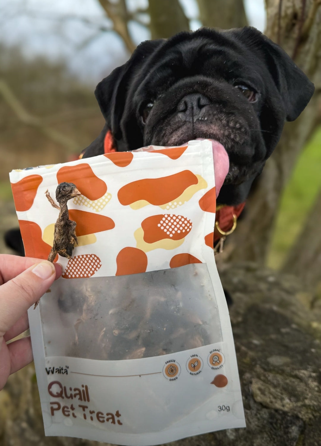 Waita Freeze Dried Quail