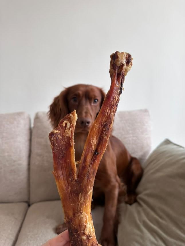JUMBO Paddywack