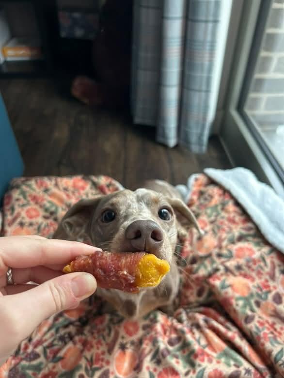 Mango Chunks Wrapped Duck Breast