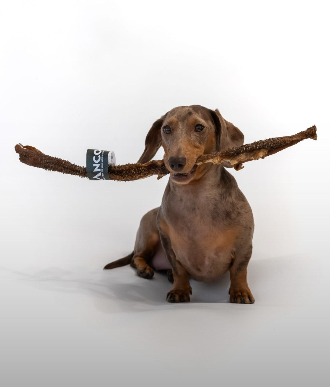 Anco Naturals Giant Bully Tripe Stick