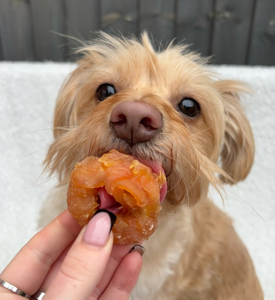 Squid & Chicken Ring